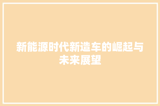 新能源时代新造车的崛起与未来展望