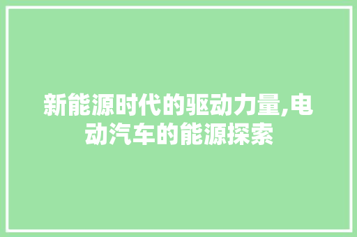 新能源时代的驱动力量,电动汽车的能源探索