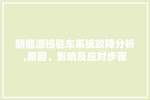 新能源档驻车系统故障分析,原因、影响及应对步骤