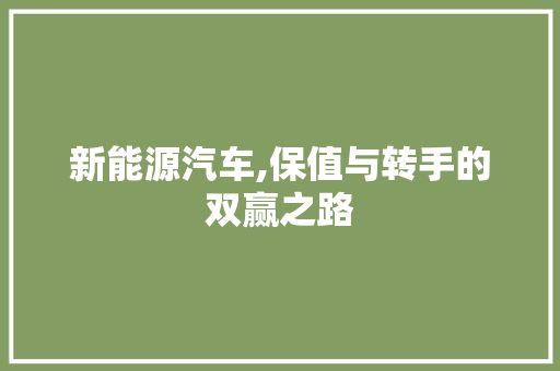 新能源汽车,保值与转手的双赢之路