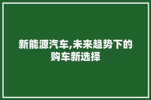 新能源汽车,未来趋势下的购车新选择