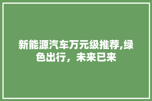 新能源汽车万元级推荐,绿色出行，未来已来  第1张