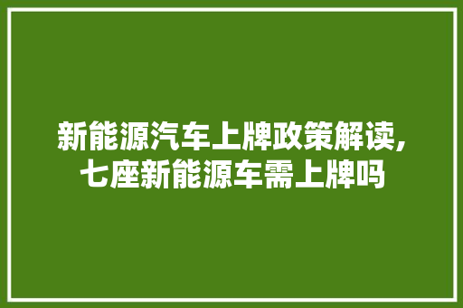 新能源汽车上牌政策解读,七座新能源车需上牌吗