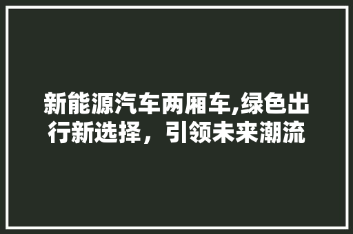 新能源汽车两厢车,绿色出行新选择，引领未来潮流  第1张