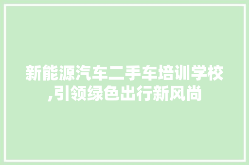 新能源汽车二手车培训学校,引领绿色出行新风尚