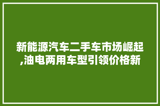 新能源汽车二手车市场崛起,油电两用车型引领价格新趋势  第1张