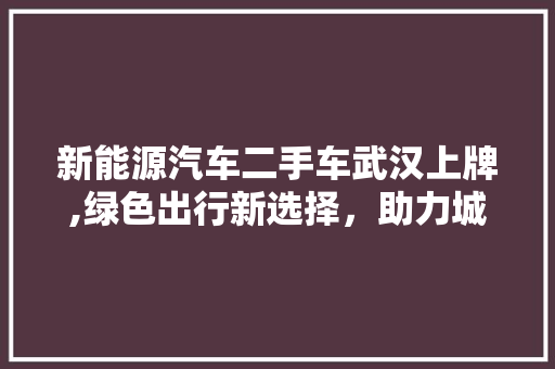 新能源汽车二手车武汉上牌,绿色出行新选择，助力城市环保升级