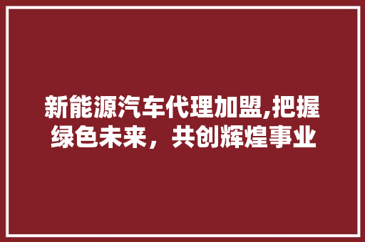 新能源汽车代理加盟,把握绿色未来，共创辉煌事业