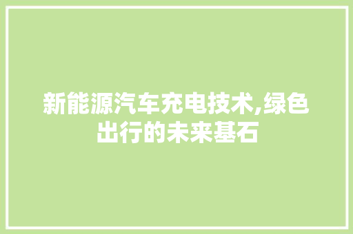 新能源汽车充电技术,绿色出行的未来基石