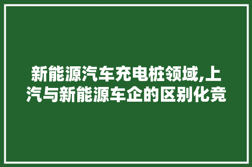 新能源汽车充电桩领域,上汽与新能源车企的区别化竞争步骤