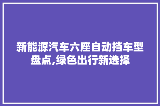 新能源汽车六座自动挡车型盘点,绿色出行新选择