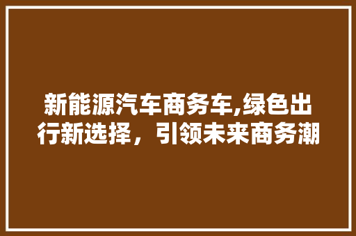 新能源汽车商务车,绿色出行新选择，引领未来商务潮流