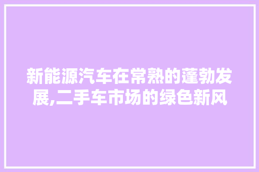 新能源汽车在常熟的蓬勃发展,二手车市场的绿色新风尚