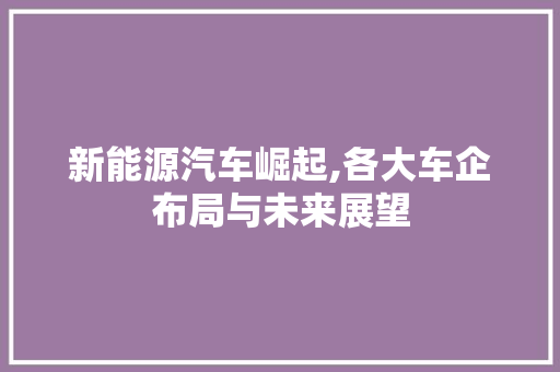 新能源汽车崛起,各大车企布局与未来展望