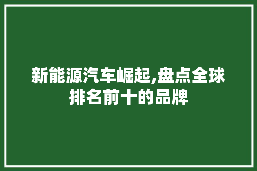 新能源汽车崛起,盘点全球排名前十的品牌