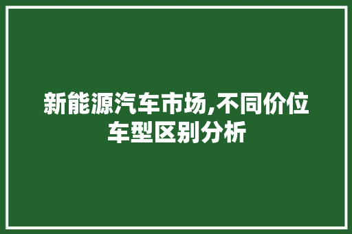 新能源汽车市场,不同价位车型区别分析