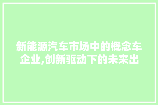 新能源汽车市场中的概念车企业,创新驱动下的未来出行蓝图