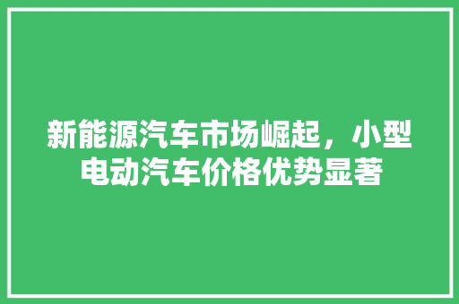 新能源汽车市场崛起，小型电动汽车价格优势显著