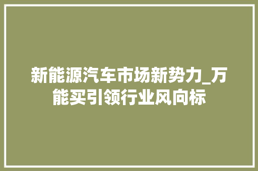 新能源汽车市场新势力_万能买引领行业风向标