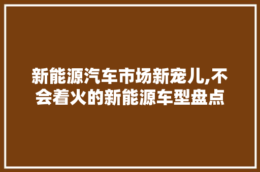 新能源汽车市场新宠儿,不会着火的新能源车型盘点