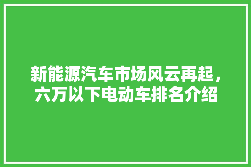 新能源汽车市场风云再起，六万以下电动车排名介绍  第1张