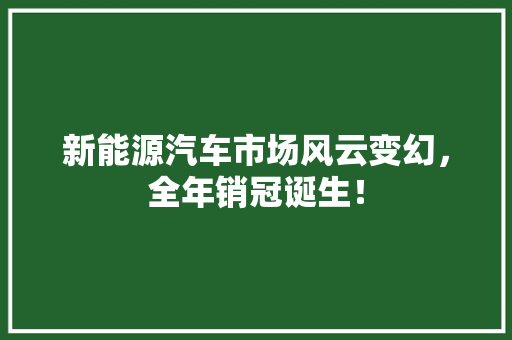 新能源汽车市场风云变幻，全年销冠诞生！