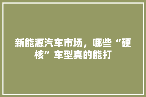 新能源汽车市场，哪些“硬核”车型真的能打