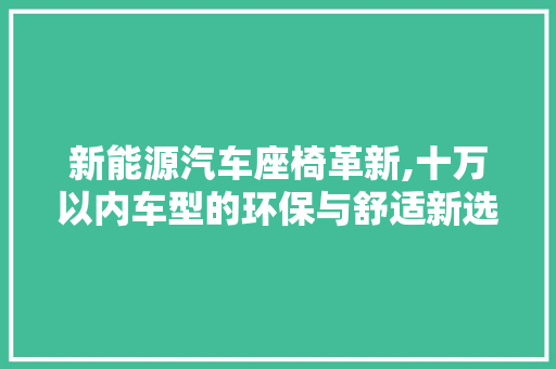 新能源汽车座椅革新,十万以内车型的环保与舒适新选择