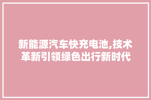 新能源汽车快充电池,技术革新引领绿色出行新时代