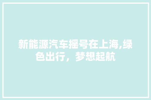 新能源汽车摇号在上海,绿色出行，梦想起航