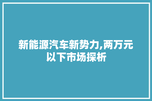 新能源汽车新势力,两万元以下市场探析