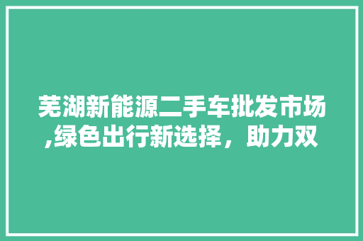 芜湖新能源二手车批发市场,绿色出行新选择，助力双碳目标实现