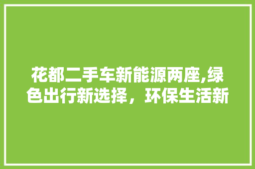 花都二手车新能源两座,绿色出行新选择，环保生活新时尚