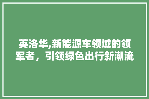 英洛华,新能源车领域的领军者，引领绿色出行新潮流