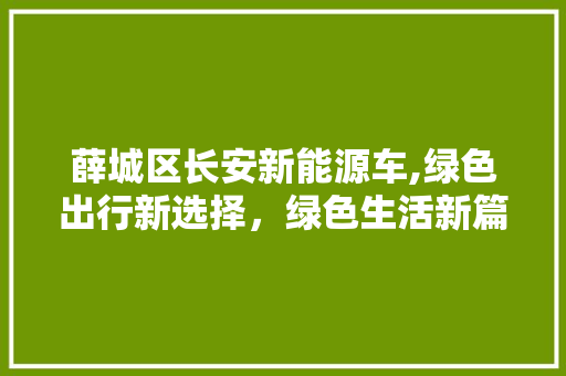 薛城区长安新能源车,绿色出行新选择，绿色生活新篇章