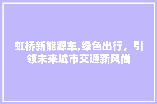 虹桥新能源车,绿色出行，引领未来城市交通新风尚