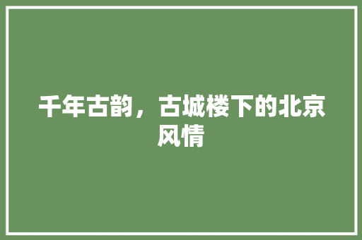 千年古韵，古城楼下的北京风情