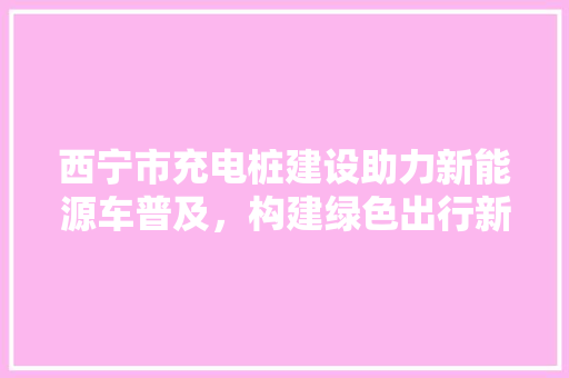 西宁市充电桩建设助力新能源车普及，构建绿色出行新生态