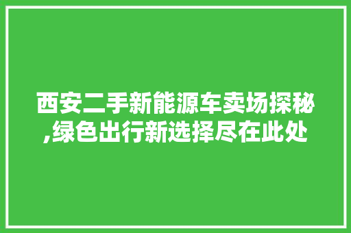 西安二手新能源车卖场探秘,绿色出行新选择尽在此处