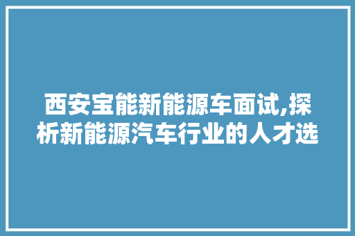 西安宝能新能源车面试,探析新能源汽车行业的人才选拔标准