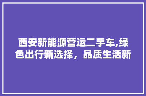 西安新能源营运二手车,绿色出行新选择，品质生活新伙伴