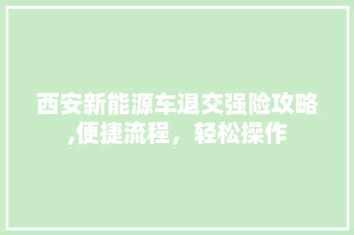 西安新能源车退交强险攻略,便捷流程，轻松操作