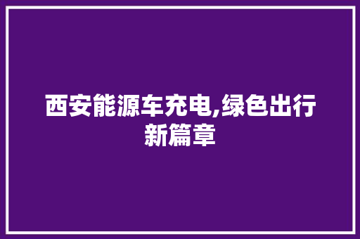 西安能源车充电,绿色出行新篇章