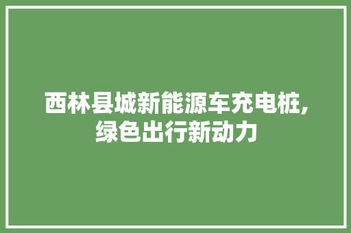 西林县城新能源车充电桩,绿色出行新动力