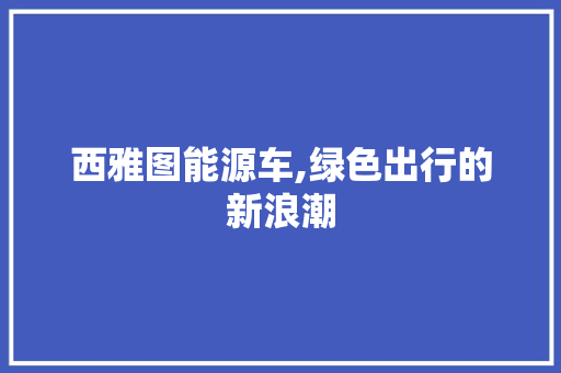 西雅图能源车,绿色出行的新浪潮