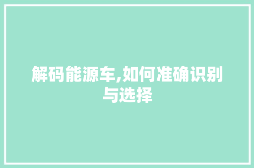 解码能源车,如何准确识别与选择