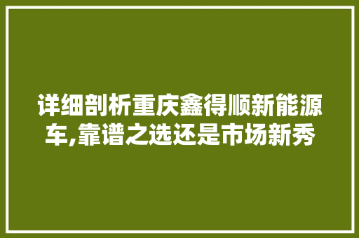 详细剖析重庆鑫得顺新能源车,靠谱之选还是市场新秀