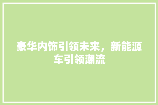 豪华内饰引领未来，新能源车引领潮流