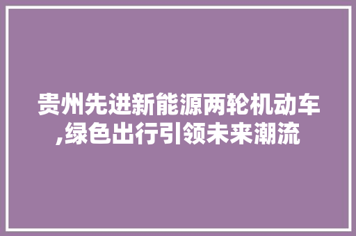 贵州先进新能源两轮机动车,绿色出行引领未来潮流