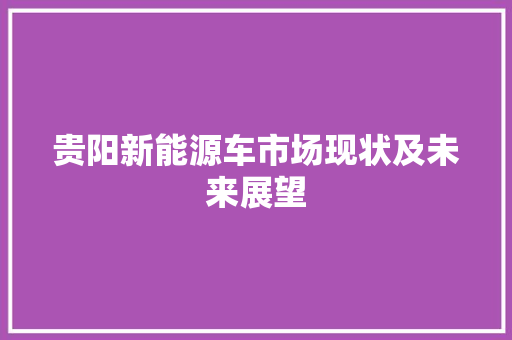 贵阳新能源车市场现状及未来展望